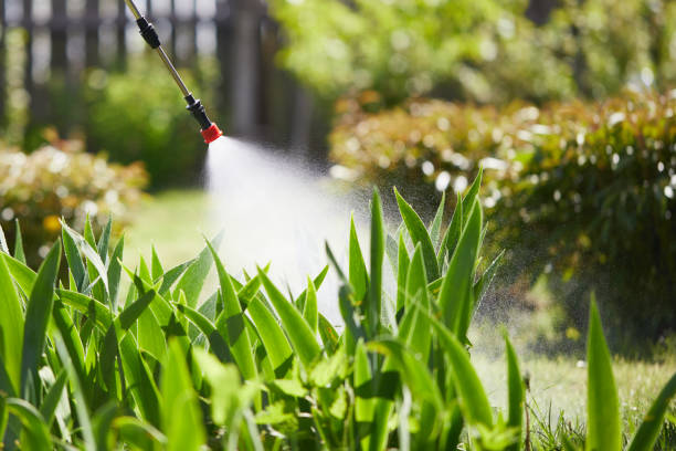 Tamper-Resistant Bait Stations for Rodents in Reading