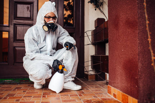 Attic and Crawl Space Rodent Treatment in Reading